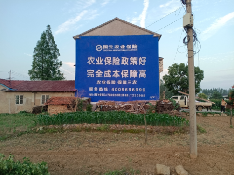 东山墙体广告为何受追捧？